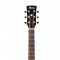قیمت خرید فروش گیتار آکوستیک Ibanez AW250ECE LG